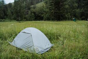 Immerse yourself in the peaceful setting of a camping tent in a serene meadow surrounded by lush greenery, offering the perfect escape for a relaxing nature getaway photo