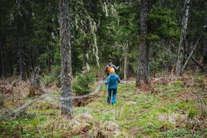A hiker is exploring a natural landscape, surrounded by trees, plants, and grass. They carry a backpack as they walk through the forest, enjoying the scenic views of the woodland terrain photo