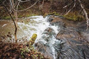 Nestled deep within the heart of a lush and green forest, there exists a small yet enchanting waterfall, flowing gracefully as it winds its way among vibrant trees and rugged rocks photo