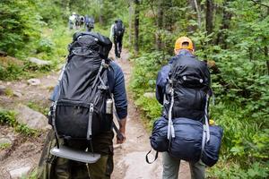A group of enthusiastic hikers equipped with backpacks traverses a beautiful wilderness trail, surrounded by vibrant, lush greenery all around them photo