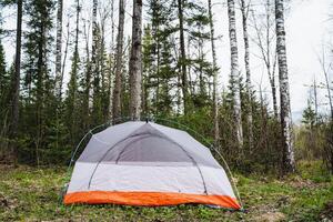 Enjoy a rustic retreat in a spring forest landscape with birch trees and green foliage. Set up a camping tent for a peaceful getaway surrounded by natures serenity and wildlife photo