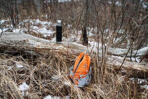 A vibrant backpack rests on lush grass beside a fallen log in the serene woods, surrounded by natures beauty and the soothing sounds of wildlife echoing through the trees photo