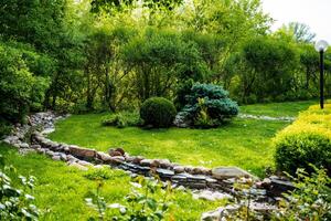Imagine yourself surrounded by the tranquility of a lush garden by a gentle stream, enveloped in green plants and trees, providing a serene setting for relaxation and enjoyment photo