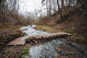 A charming wooden bridge gracefully spans over a tranquil river that meanders through the serene woods, surrounded by lush greenery and tall trees that create a picturesque landscape photo