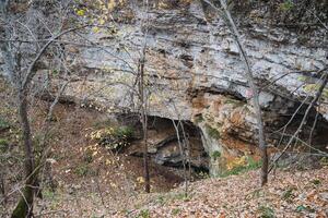 In the enchanting woods, a serene cave lies among towering trees and colorful autumn leaves, offering a tranquil setting that captivates all who find this hidden natural gem photo