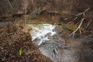 Nestled in the heart of a lush, green forest, there is a picturesque small waterfall that captivates the eye, beautifully surrounded by a diverse array of tall trees and colorful vegetation photo