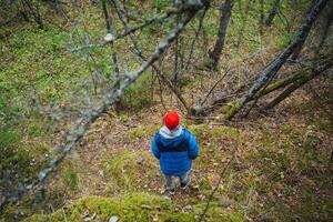 A hiker dressed in a bright and colorful jacket embarks on an adventure through a serene and peaceful forest landscape, embracing nature photo