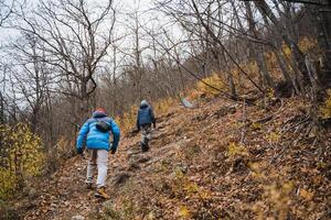 Two individuals are making their way up a steep hill nestled within the serene woods, enjoying the beauty of nature around them as they embark on this outdoor adventure together photo