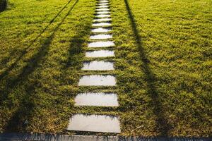 There is a beautiful row of white stepping stones that gracefully goes through a lush, green grassy field, creating a charming path through the vibrant natural landscape photo