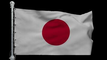 Animated Japanese Flag with Realistic Motion video