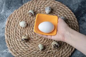 Organic Quail eggs with chicken egg photo