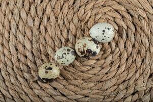 Top view of organic farm quail eggs photo