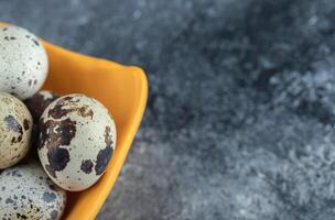 Close up photo of quail egg on grey background
