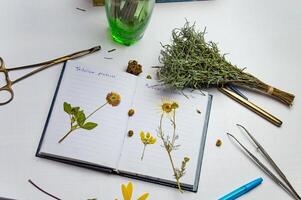 a desktop with a notebook and a herbarium of various plants and seeds. Occupation of storing sketches and other biological experiments and studies of plant and flower species. High quality photo
