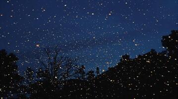 A breathtaking starry night sky with beautifully silhouetted trees creating an enchanting view photo