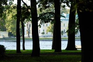 Enjoying a Serene View of the River as It Flows Gently Through Trees in a City Park photo