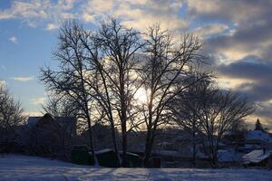 A beautiful winter landscape featuring trees illuminated by the gentle sunlight above photo