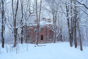 The Abandoned Red Brick House lies within a Snowy Forest, creating an eerie and atmospheric scene photo
