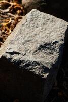 Textured Rock Surface Found in a Natural Setting Surrounded by Various Elements of Nature photo