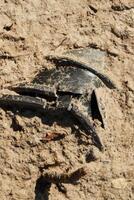 A Fragment of a Mysterious Object Was Discovered in the Sand at a Scenic Location photo