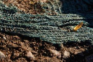 A CloseUp View of Green Garden Netting Spread Out on Soil in a Lush Environment photo