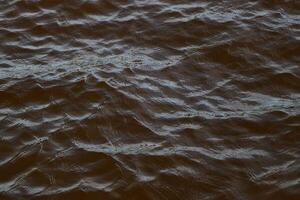 A calm water surface gently rippled by soft waves, illuminated beautifully by natural light photo