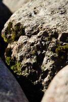 An UpClose View of Mossy Rock Textures Surrounded by a Natural Environment and Scenery photo