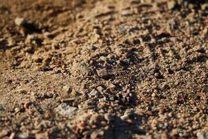 Closeup of a Detailed and Earthy Soil Texture Featuring Numerous Fine Particles photo