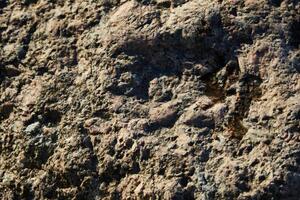 A beautifully textured natural rock surface displaying unique patterns and vibrant colors photo