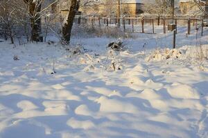 A picturesque snowy winter landscape featuring beautiful shadows cast by trees all around photo