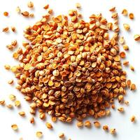 Dry buckwheat grains isolated on white background. Top view. photo