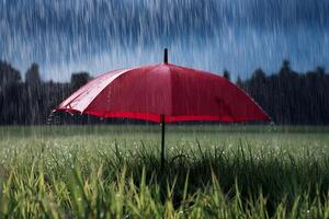 Red umbrella stands resilient in lush field amid heavy downpour photo