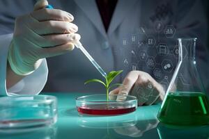 Hands in Lab Gloved hands holding plant in dish with pipette in scientific lab photo