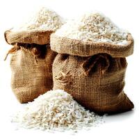 Rice in burlap bags isolated on white background. Close up. photo