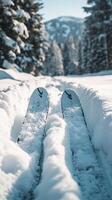 Snowy Ski Tracks in a Mountain Landscape photo