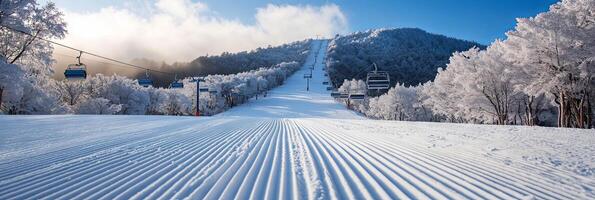 Winter Mountain Ski Resort with Snow Covered Trees and Ski Lifts photo