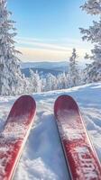 Winter Mountain Ski Adventure - Snowy Peaks and Fresh Powder photo