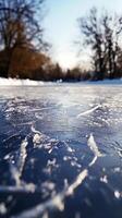 Winter Ice Wonderland Frozen Lake Surface with Trees photo