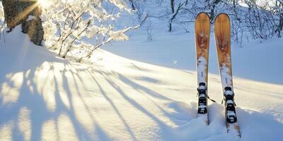 Winter Ski Scene in Snowy Landscape photo