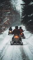Winter Snowmobile Adventure in the Forest photo
