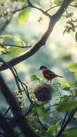 A Bird Nestling in Springtime's Embrace photo