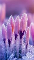 congelado primavera floraciones un delicado danza de hielo y color foto