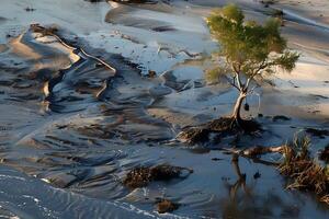 Solitary Tree Stands Amidst Abstract Tidal Patterns. A Study in Nature's Ephemeral Art, Revealing the Beauty of Coastal Erosion and Water's Sculptural Power on Sediment, Showing Resilience photo