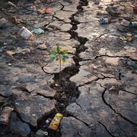 Environmental degradation evident through cracked earth and scattered waste in an arid landscape photo