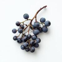 Fresh bunch of dark blue grapes displayed on a plain white background photo