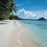 Tranquil beach landscape with clear water and lush palm trees under a blue sky photo