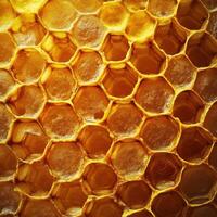 Close examination of honeycomb showcasing intricate patterns and rich golden hues from a beehive in a natural setting photo