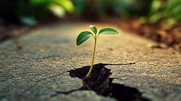 A resilient green sprout pushes through a crack in the concrete, symbolizing hope and perseverance photo