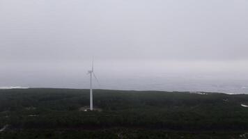 tjock dimma omsluter en vind turbin längs en skog kustlinje, skapande en lynnig och atmosfärisk scen video