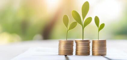 Growing plants on coins symbolize financial growth and investment success photo